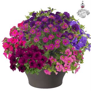 Bild von HP30 XXL Mix 03